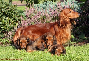 Spotkanie rodzinne w Ruściu