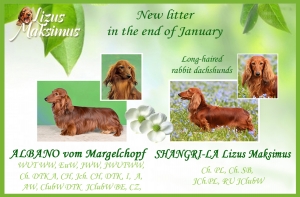 Shangri-La wkr&oacute;tce zostanie mamą