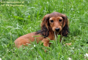 Shangri-La na pierwszym spacerze