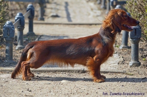 Dzieci Basima na wystawie w Nowym Dworze