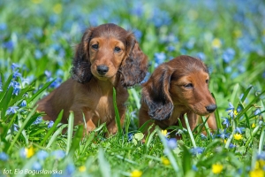 Wiosenna sesja jamnicza w Łodzi