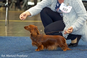 El-Maraya młodzieżową vice-Zwyciężczynią Świata