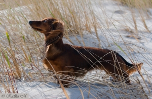 Lady First Championką Polski