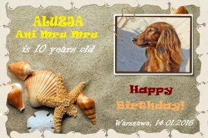 Dziesiąte urodziny Aluzji Ani Mru Mru