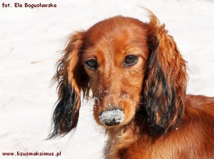 Urlop na P&oacute;łwyspie Helskim