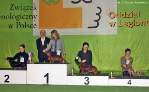 Lizusy Maksimusy w Nowym Dworze