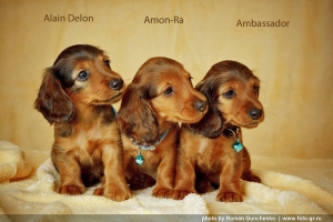 Profesjonalna sesja w Rosji