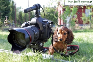 Igraszki na działce