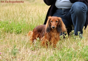 Parę sł&oacute;w o Szamanku