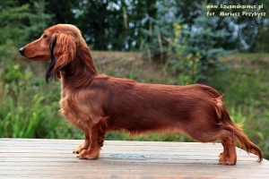 Nowe zdjęcia Shangri-La