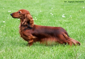 Shangri-La Młodzieżową Championką