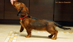 O dzieciach Basima i Mamby