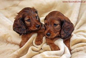 P&oacute;łtora miesiąca na świecie!