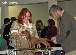 Debiuty wystawowe w Petersburgu