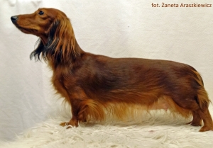 Basim ponownie ojcem