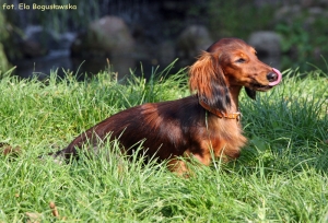 Rodzinne spotkania w Warszawie