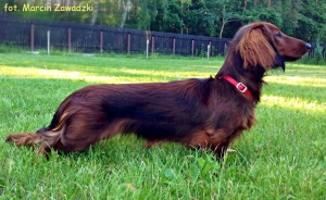 C&oacute;rki pozdrawiają tatę