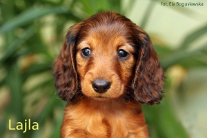 Odwiedziny w Toruniu