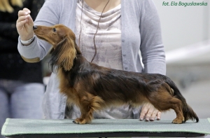 Sukcesy dzieci Basima w Lublinie